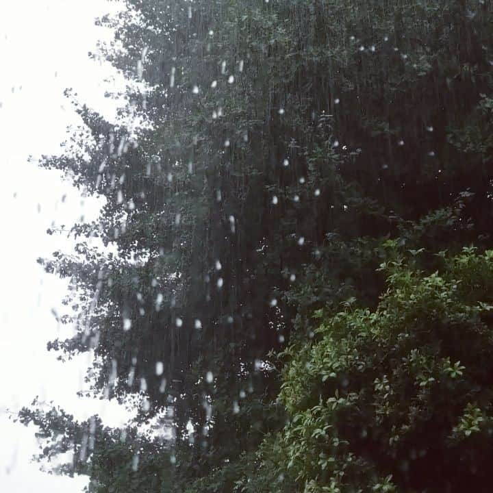 のインスタグラム：「雷雨。」
