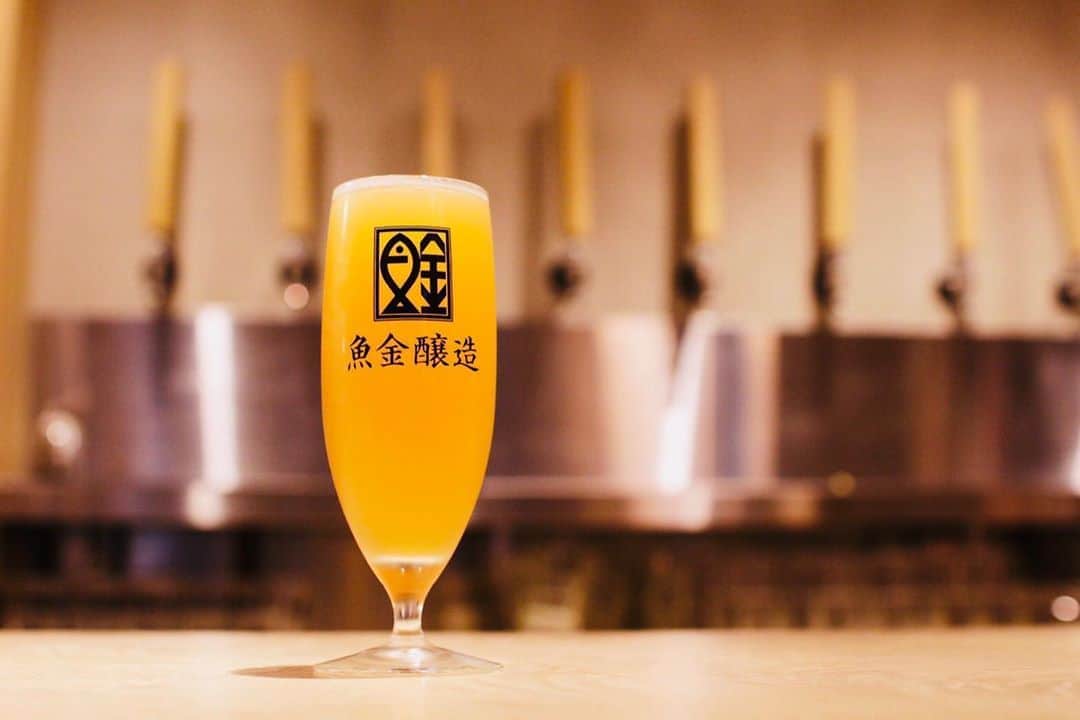 魚金さんのインスタグラム写真 - (魚金Instagram)「東京は怪しい雲行きになって参りました😢 それでも魚金は元気に営業しております‼️‼️  渋谷マークシティの魚金醸造では、自家醸造クラフトビールをご用意しております🤤 渋谷のど真ん中で作ったビールいかがですか？ ビールが苦手な方でも喜んでいただけるようにフルーティーなラインナップもございます❤️ 是非飲んでみてください！  #uokinstagram#uokin#魚金#beer#東京グルメ#美味しいもの#魚好きな人と繋がりたい#ビール#beerlover#juicebomb#クラフトビール#おしゃれ#映え#女子会#渋谷#happy#yummy#オリジナル」8月13日 16時49分 - uokin_koho