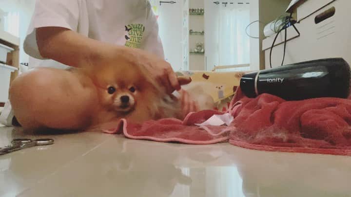 r_oseのインスタグラム：「I  love it🦁〰️」