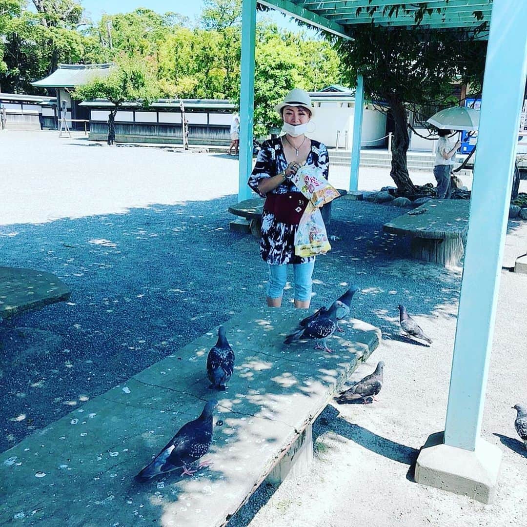 アクア新渡戸さんのインスタグラム写真 - (アクア新渡戸Instagram)「鎌倉で鯉と亀に餌やり  うぇ～～いwwwwwwww   娘十亜は鳩にビビる(;ﾟДﾟ)!  エグい数いたわw  #鎌倉八幡宮⛩  #こいにえさやり🎏」8月13日 17時09分 - amiaquanitobe