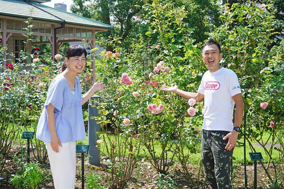 平塚市のインスタグラム