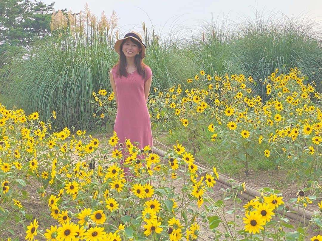 海老原優香さんのインスタグラム写真 - (海老原優香Instagram)「#🌻   ひまわりが綺麗に咲いているのを見つけました〜👒✨」8月13日 17時33分 - ebioffi