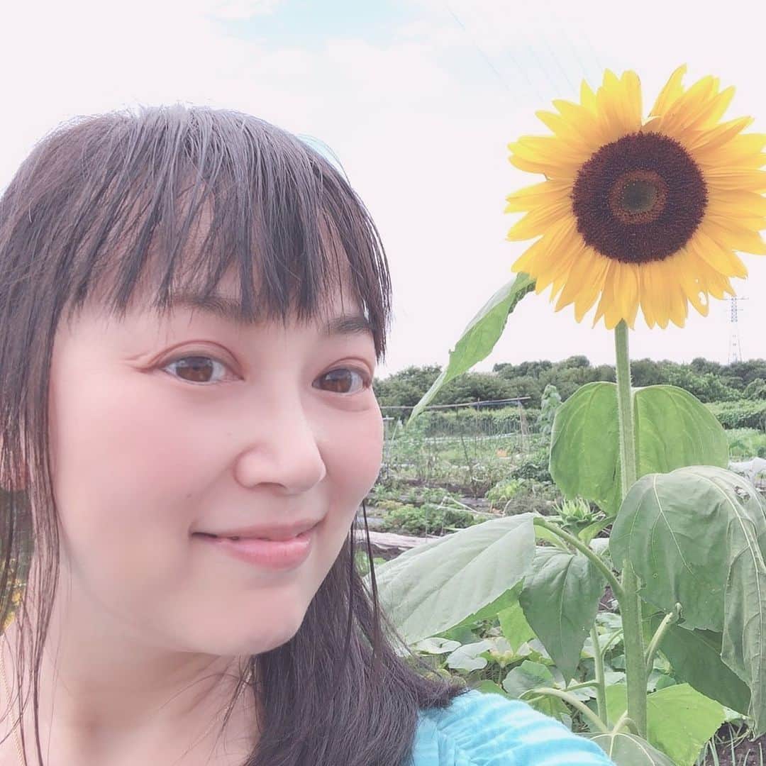 大西結花のインスタグラム：「夏の日  #ひまわり #sunflower #夏 #summertime #誕生花 #夏の日 #大西結花 #yuka #yukaonishi #80s #80年代アイドル #暑い」