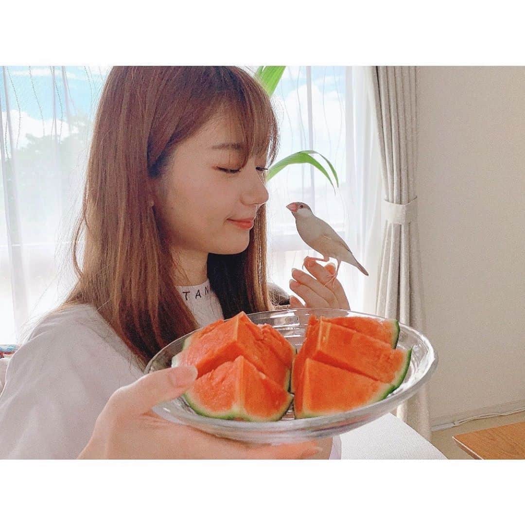 長谷川かすみのインスタグラム：「マヨと私とスイカ、時々ココナッツ(の木)」