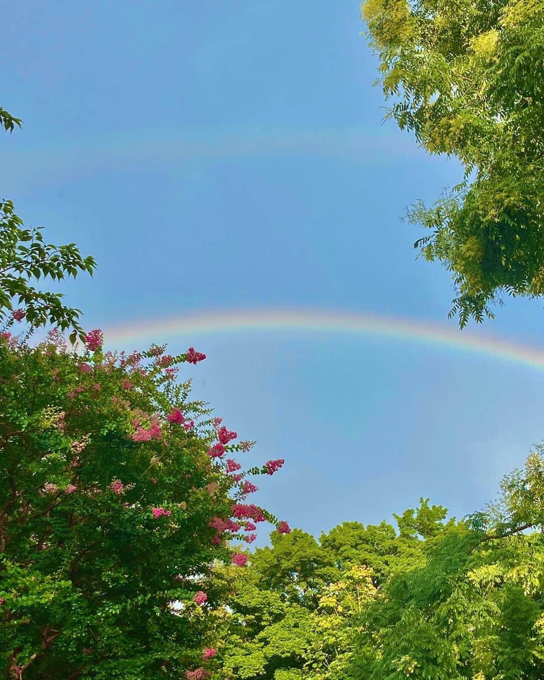黒川智花さんのインスタグラム写真 - (黒川智花Instagram)「🌈✨🌿 雨上がり⤴️ 綺麗な虹が見えました〜😆🎶 皆さまの所ではどうですか👀 心晴れやかになれました💓✨ ▫️ #虹 #rainbow #小さな幸せ #お裾分け #よく見るとうっすら二重🌈」8月13日 17時50分 - tomoka_kurokawa_official