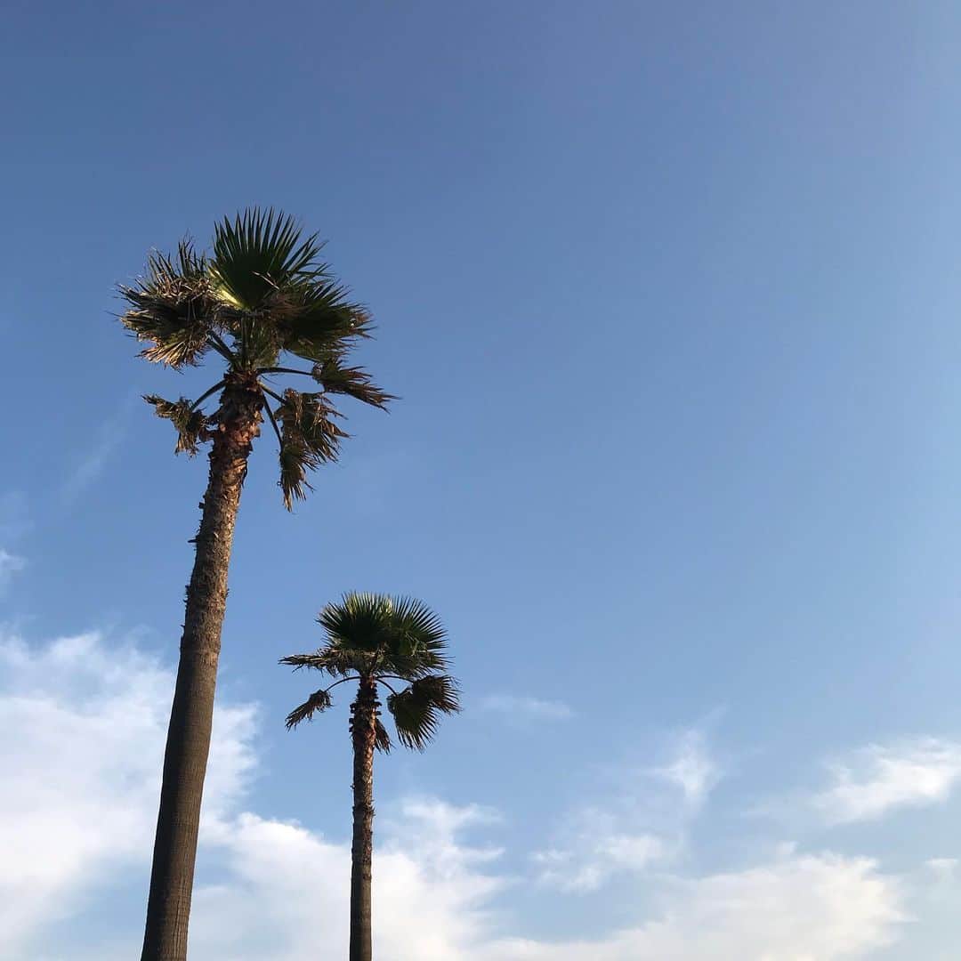 水野亜彩子のインスタグラム：「🌴💙✨」