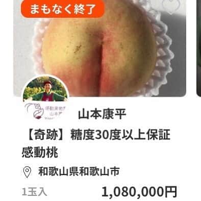 和歌山県食品流通課さんのインスタグラム写真 - (和歌山県食品流通課Instagram)「「ポケットマルシェ」で100万円の桃が出品されました♪  出品者からも高糖度の桃「感動桃」を通じて和歌山の桃への注目がさらに高まるとともに、今回の例を契機に和歌山県産全体のアピールになればとコメントをいただいています♪ #ポケットマルシェ #和歌山 #桃 #100万円」8月13日 18時36分 - tasty_healthy_wakayama