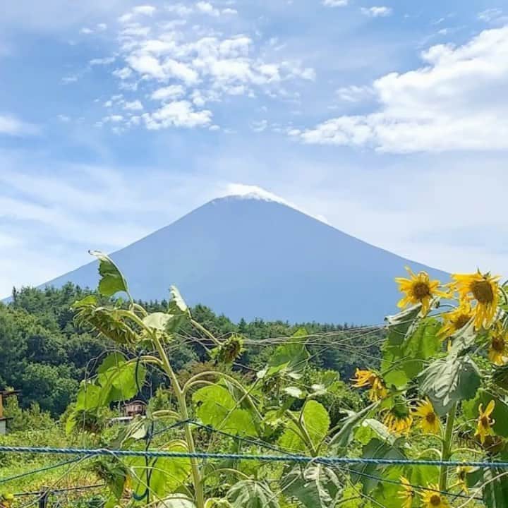 mori_no_tsukueのインスタグラム
