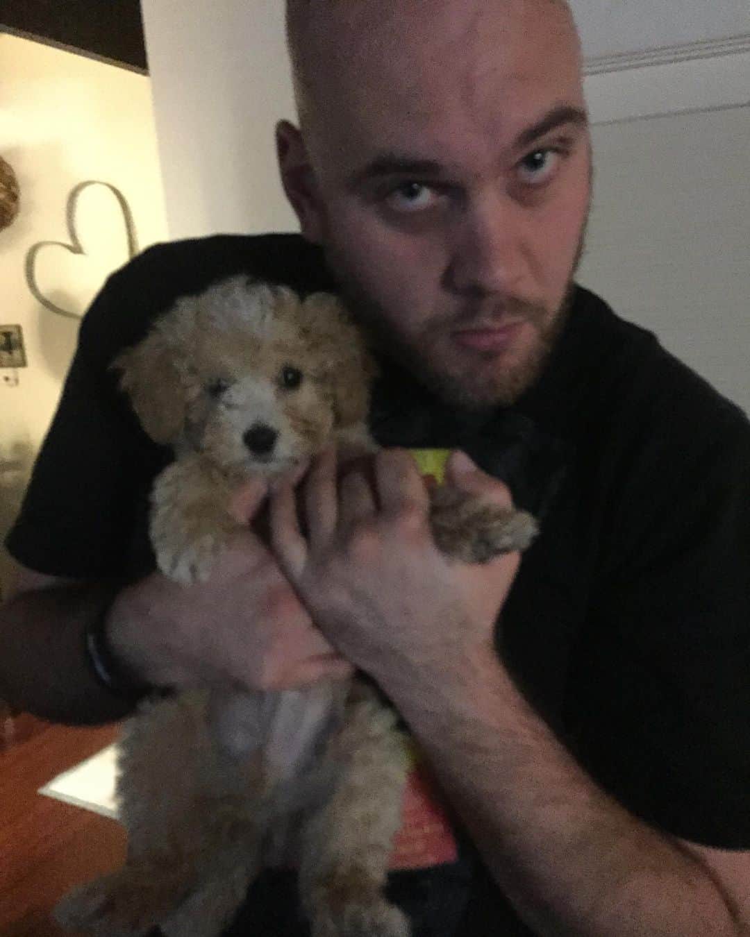 ジョーイ・ブラッグのインスタグラム：「Happy Birthday, @adamcelorier. I cherish your friendship like you cherish puppies.」