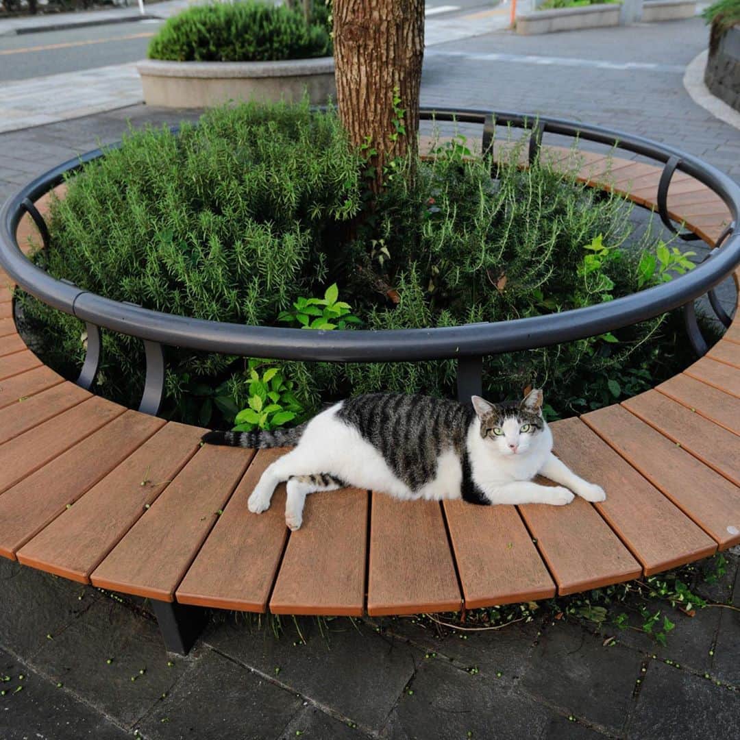 ををつかのインスタグラム
