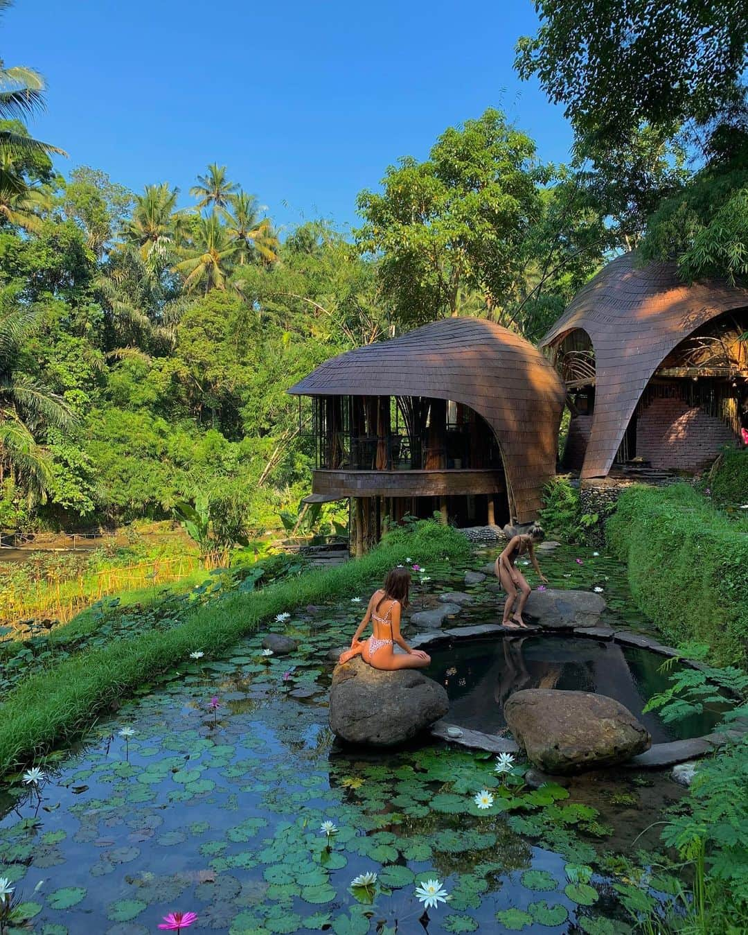 Inka Williamsさんのインスタグラム写真 - (Inka WilliamsInstagram)「This tree house 😍😭 I miss you girls... and these lush greens @reopalmer @sarahellen • Australia please open up soooooonnnnnnnn hagaonwyaoauqpmaufpaburon」8月13日 20時43分 - inkawilliams