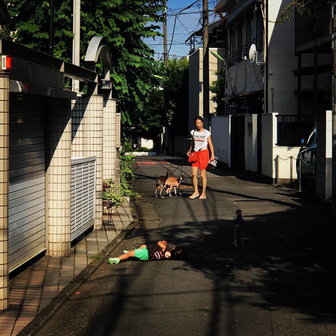 菅井悦子さんのインスタグラム写真 - (菅井悦子Instagram)「気づいたら、転んでいた息子😱 オットが偶然にも動画を撮っていたのだけど、どうやったらそんなに派手にコケるのか、、 大人には難しい問題😂何度もリピートして見てしまってます🥴 転んでも『エレンの紐』は離さず頑張りました☆  #僕とエレンのお散歩」8月13日 21時04分 - etsuko313