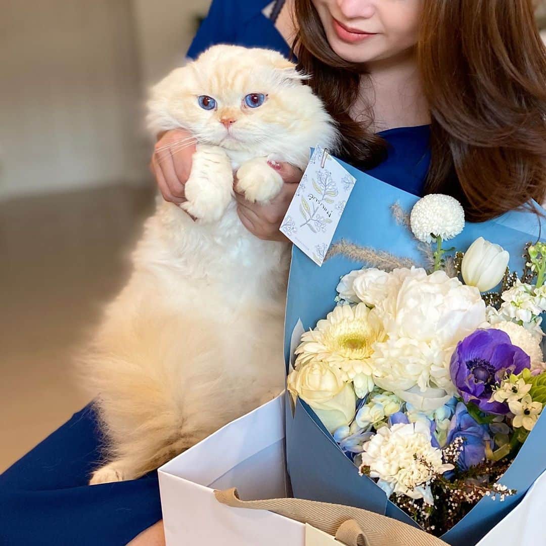 Haruのインスタグラム：「Harper on mother’s day 💙🤍」