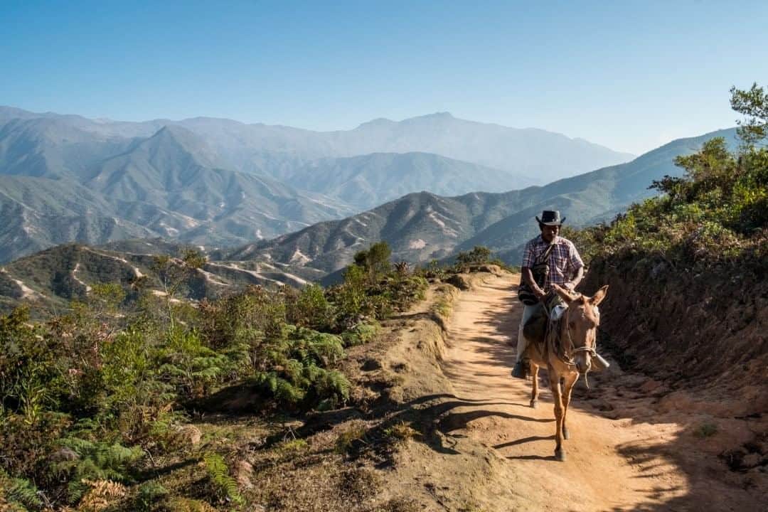National Geographic Travelさんのインスタグラム写真 - (National Geographic TravelInstagram)「Photo by @francescolastrucci  A farmer on his mule slowly makes his way home, surrounded by the majestic high mountains of the Sierra Nevada de Santa Marta. I photographed this community while on assignment for a story on the new coffee destination in Colombia. At the end of a four-hour hike uphill from an Arhuaco native community, I reached an isolated road used mostly by farmers and waited for the right encounter. Once unsafe to travel to, this area is the sacred ancestral home of four tribes. They are direct descendants of the ancient Tairona civilization and strong believers that they are the guardians of what they consider to be the heart of the world. Through meditations, offerings, and prayers at interconnected sacred sites linking the mountains to the rivers and down to the sea, they believe they maintain the equilibrium of life not only for their sacred mountains but for the entire world. Follow me @francescolastrucci for more places, daily life, and stories around the world. #colombia #environment #sierranevadadesantamarta」8月13日 21時07分 - natgeotravel