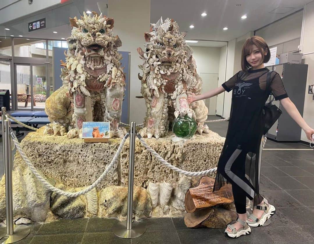のインスタグラム：「宮古空港にいたシーサー🌺 ・ #ノーマルカメラ #シーサー #宮古島 #宮古島旅行 #沖縄 #沖縄旅行 #沖縄ロス #宮古島ロス」
