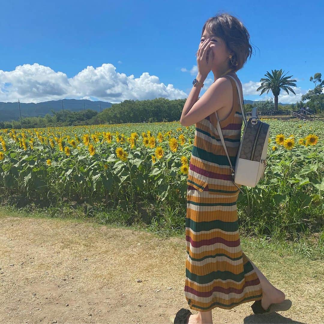 下川琴戸音のインスタグラム：「・ ・ ひまわり畑🌻 ㅤ ずっとひまわり畑に行きたくて、でも枯れてる所ばっかりで諦めてたのに 見れてすっごい嬉しかった☺️🌻🧡 ・ ・ ・ #ひまわり畑 #向日葵 #ひまわり #大阪 #お花 #himawari #flowers #photography #photo #osaka #instagood #instalike #instapic #likeforlikes #🌻」