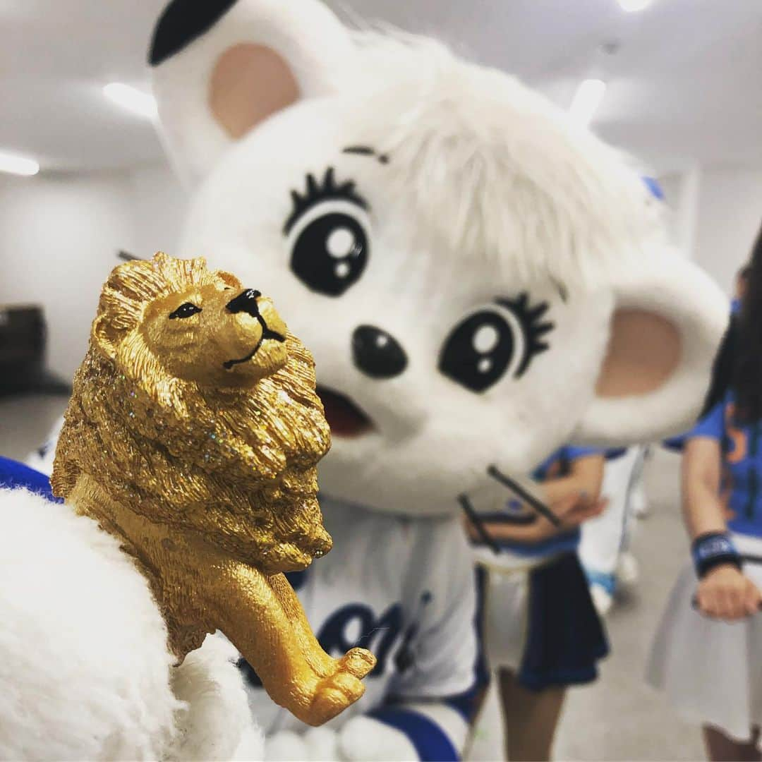 ライナさんのインスタグラム写真 - (ライナInstagram)「🦁  きんいろの ライオンさんと とーっても なかよくなりました💕  きょうは "SAVE  LIONS DAY" ライオンをすくうプロジェクトです！ レオのバックてんチャレンジも だいせいこう✨ たくさんの おうえんありがとう‼︎‼︎  これからも ライオンたちを すくえますように。  #シュライヒ #レオのバックてん26かい  #savelions  #seibulions  #埼玉西武ライオンズ」8月13日 22時06分 - lina_lions_official