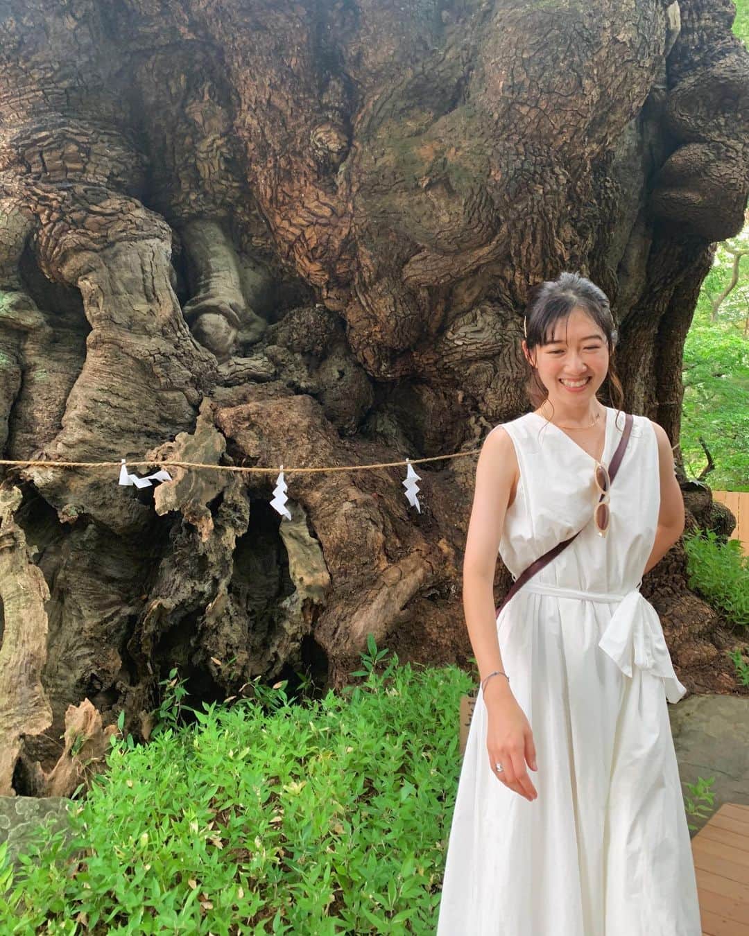 馬場奈々瀬さんのインスタグラム写真 - (馬場奈々瀬Instagram)「凄いよね。 この凛とした大きな木。.  來宮神社⛩ にある天然記念物の『大楠』. . 樹齢二千年以上なんだって。 人間なんてちっぽけに見えてくるよね。 二千年前からここに、立ち続けると思うと、なんかとてつもなく凄い様な気がして、 自分の小ささも感じた😂. この木は、なにを観てきたんやろ。 木の皺がさ、歴史を感じさせてきた。触らせて頂きました🤤🤤 . パワーしっかりもらったから、 頑張るね！！ . ※写真撮るときはマスク外しております😊. .  #來宮神社　#來宮神社⛩️ #天然　#天然記念物　#大楠　#熱海　#白ワンピース　#真夏　#パワースポット　#熱海観光　#グルメ　#熱海グルメ　#熱海神社　#日本　#女優　#タレント #前髪　#ジーナシス　#ミラオーウェン　#jeanasis」8月13日 22時11分 - nanaseeeen