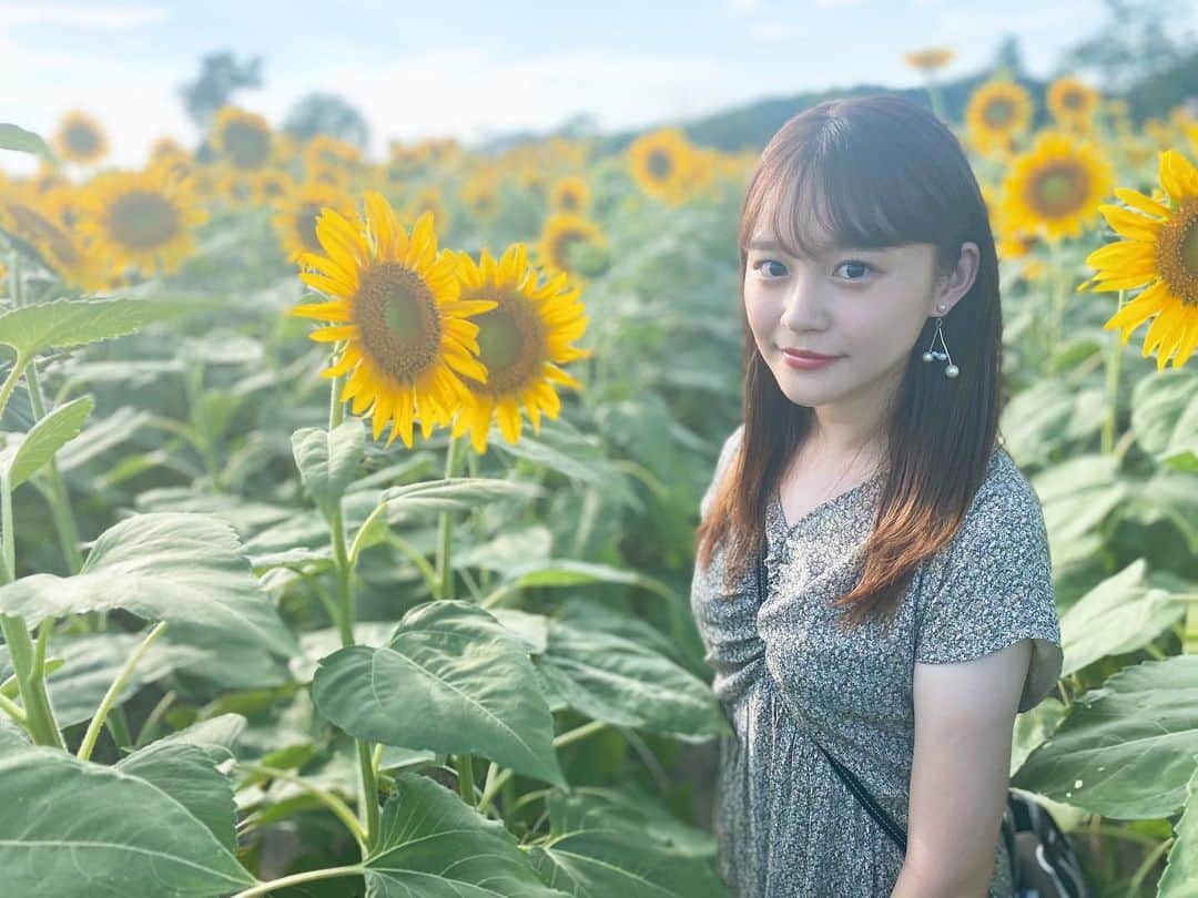 福見真紀のインスタグラム：「🌻🌻🌻」