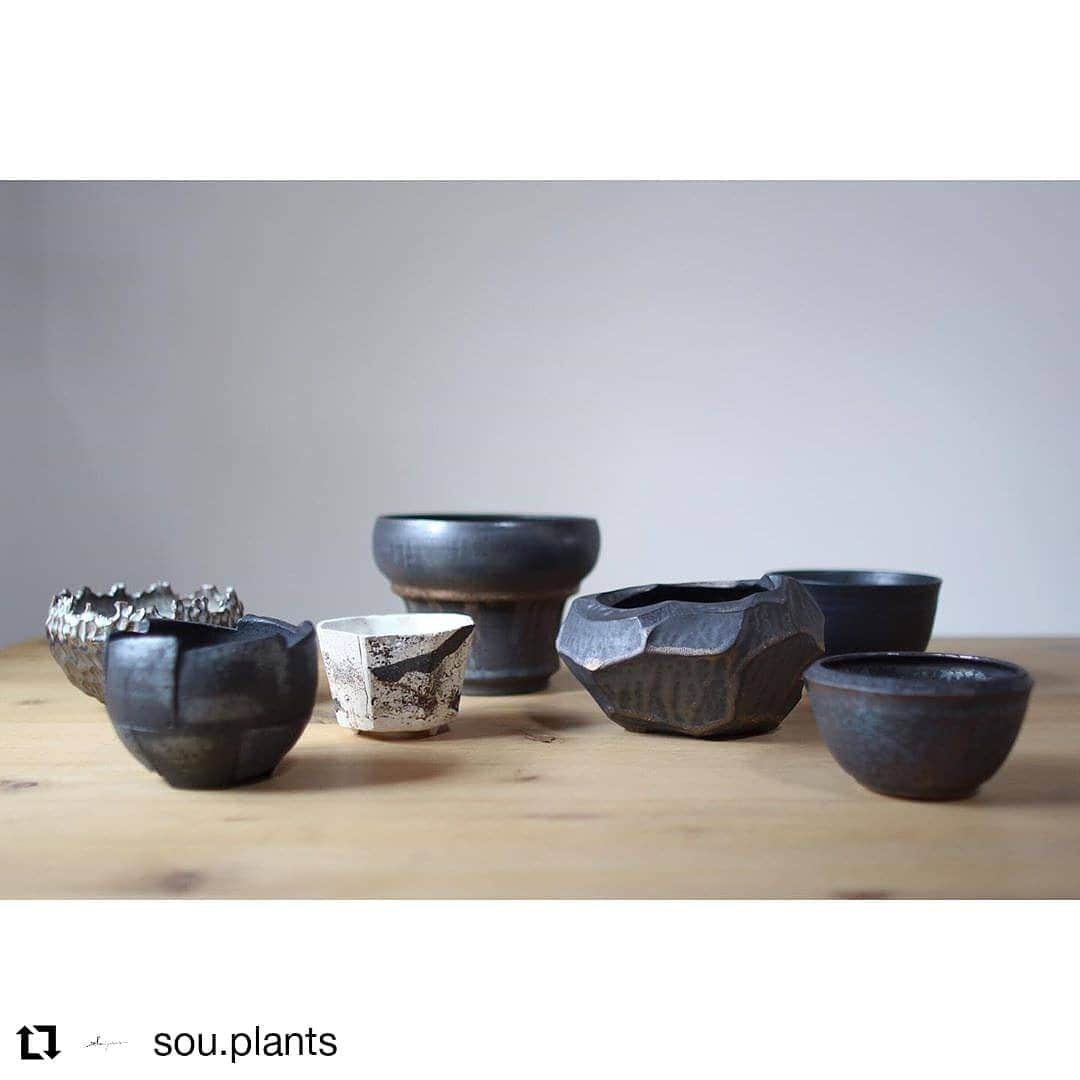 伊藤 慎さんのインスタグラム写真 - (伊藤 慎Instagram)「.sou plants さんのオンライン展示会、たくさんの方にご高覧頂きありがとうございました！ . 次回制作も新しい要素を追加して、伸び伸びとした品を作りたいです。 . これらの鉢のジャンルはマニッシュな黒や濃い色の系統が多いので、そういうタイプも作ってみたいですね！ . . . . . #兵庫  #伊藤慎 #陶瓷 #陶芸 #うつわ #器好き #陶芸家 #pottery #potter #ceramic #ceramicart #神戸 #明石 #土物 #鉢植え」8月13日 22時28分 - shinito.pottery