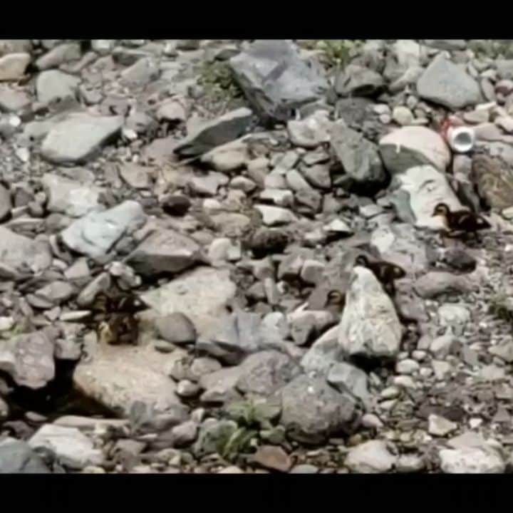 綾小路きみまろのグルメインスタ