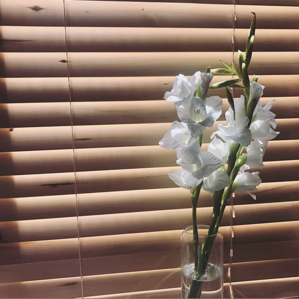 外村久美子さんのインスタグラム写真 - (外村久美子Instagram)「・ お花の質問も頂きますが、 グリーンとホワイトが我が家に合う気がしてます でも、次は向日葵もいいなぁ🌻 ・ ・  #gladiolus」8月13日 23時09分 - kummy153