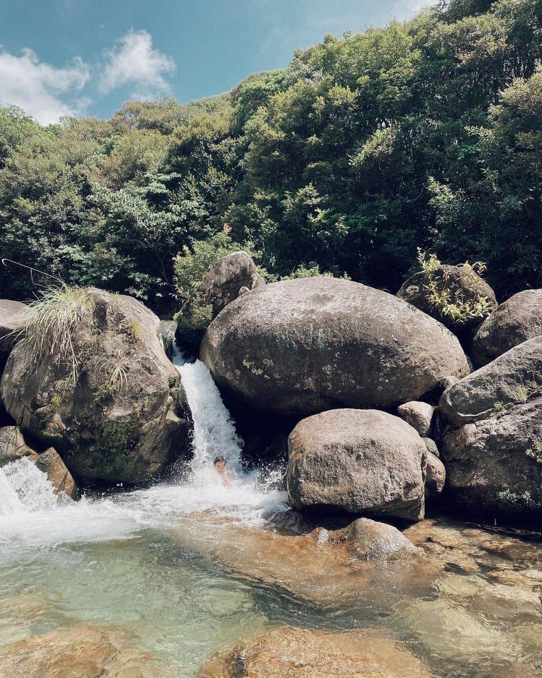 三浦大地さんのインスタグラム写真 - (三浦大地Instagram)「屋久島の川は最強の浄化。  #屋久島 #大地球散歩」8月13日 23時09分 - daichi_1127