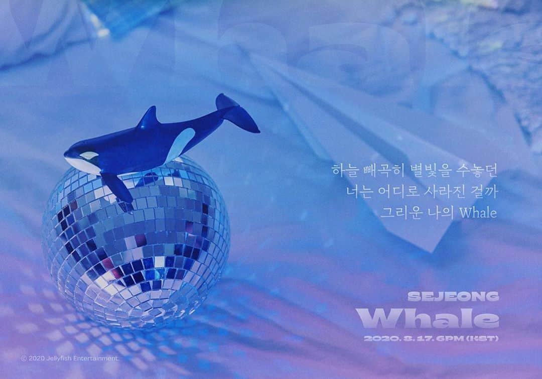 gugudanさんのインスタグラム写真 - (gugudanInstagram)「. SEJEONG Digital Single [Whale] 2020. 8. 17 6PM (KST) . LYRIC IMAGE TEASER . #세정 #SEJEONG #Whale #20200817_6PM」8月14日 0時00分 - gu9udan