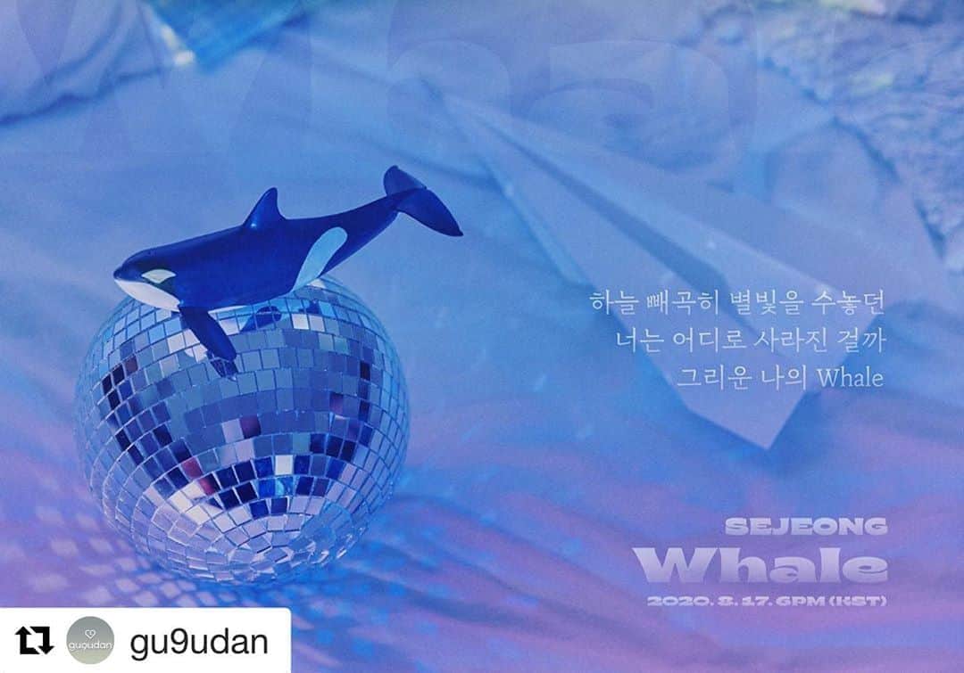 のインスタグラム：「#Repost @gu9udan with @get_repost ・・・ . SEJEONG Digital Single [Whale] 2020. 8. 17 6PM (KST) . LYRIC IMAGE TEASER . #세정 #SEJEONG #Whale #20200817_6PM」