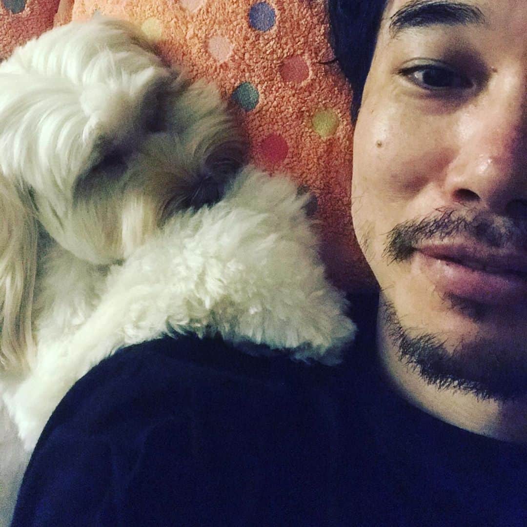 北山陽一のインスタグラム：「初めての寝相。#きたやまおもち」