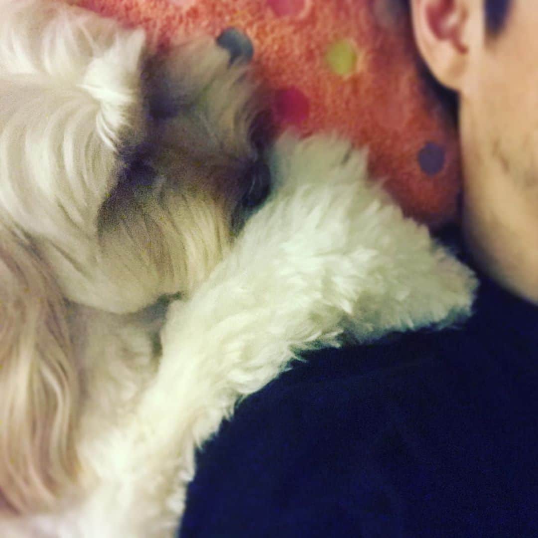 北山陽一のインスタグラム：「寝てる…#きたやまおもち」