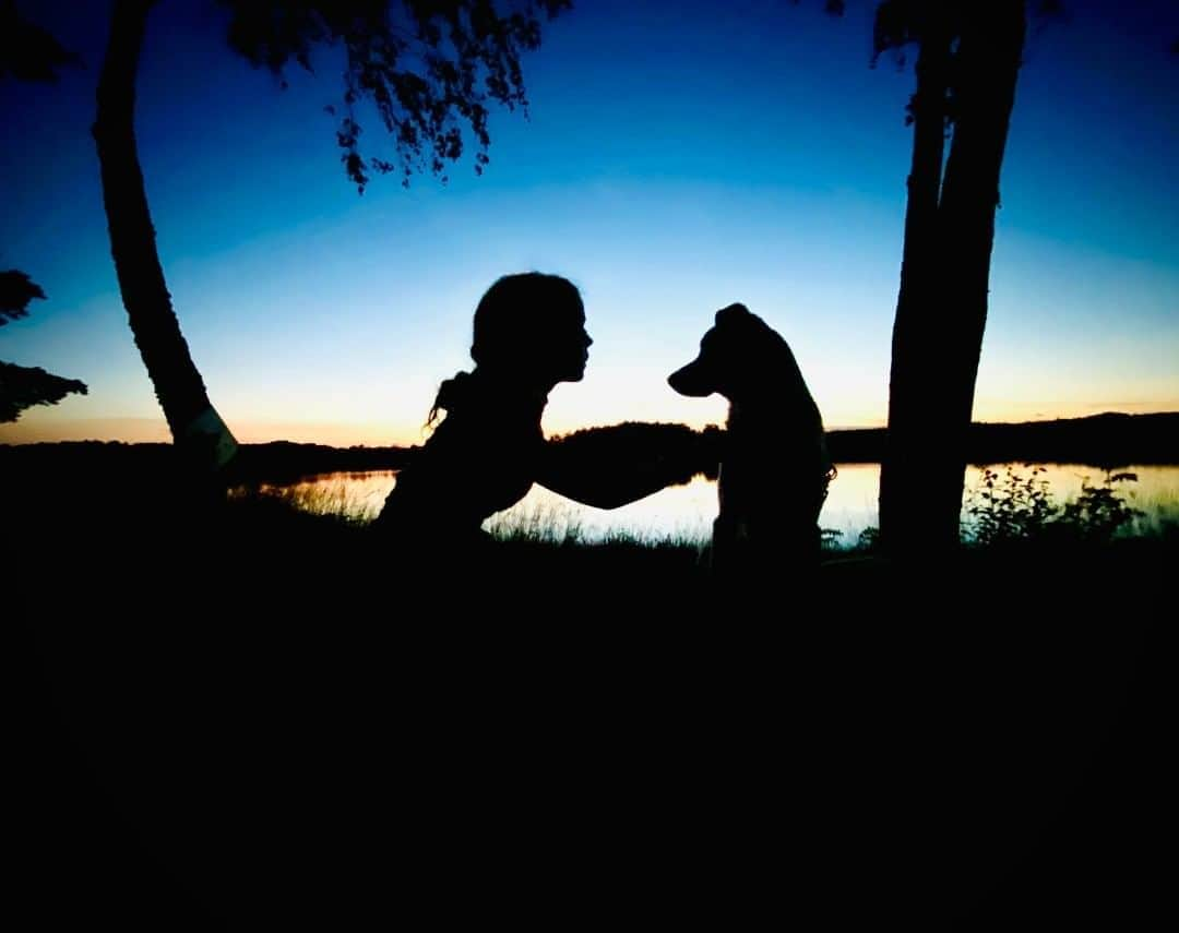 National Geographic Travelさんのインスタグラム写真 - (National Geographic TravelInstagram)「Photo by @justin.jin  It’s almost midnight, and my niece Gigja talks with her dog Pussle. We were on a small island that we reached by canoe during an eight-day paddle journey along the Lagan River at the height of summer.  We pitched tents along the river and built campfires with our siblings and our kids. Sweden gives people the right to camp anywhere, as long as their presence does not disturb others. We started the journey in Markaryd and eventually reached the coast near Snapparp, 50 kilometers (31 miles) downstream. Please follow me @justin.jin for more stories and images from around the world. #sweden #dog #adventure」8月14日 1時06分 - natgeotravel