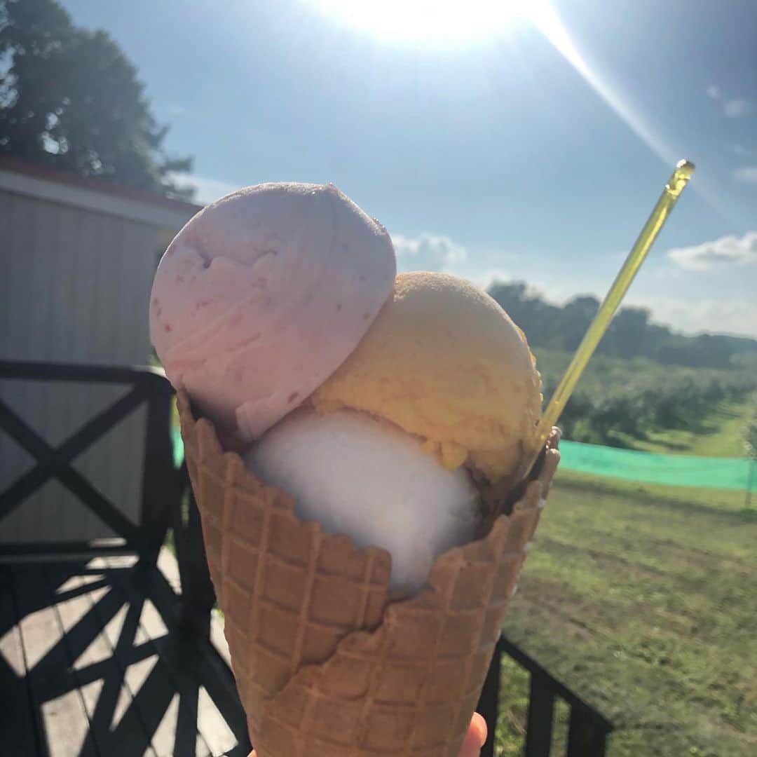 石野智子さんのインスタグラム写真 - (石野智子Instagram)「🍨🍦  先日のみんテレなんでもランキングは 世界チャンピオンが選ぶ道内ジェラート店ランキング👑  🇮🇹レヴァーロ 世界チャンピオンが「イタリアより美味しい」 と言うほど本格的な #イタリアンジェラート (1〜3枚目)  🍀ミルティーロ ブルーベリーだけで4種類！ #ブルーベリー農家 さんが作る素材が活きたジェラート (4〜5枚目)  🍰YOSHI YOSHI #パティスリー ならではの #ロールケーキ を使ったジェラート (6〜7枚目)  それぞれのお店の個性と愛が詰まった ジェラートでした🤤❤️  #アーカイブ投稿 #ジェラート #ジェラテリア #北海道スイーツ #アイスタグラム #北海道 #uhb #アナウンサー」8月14日 1時29分 - uhb_ishino