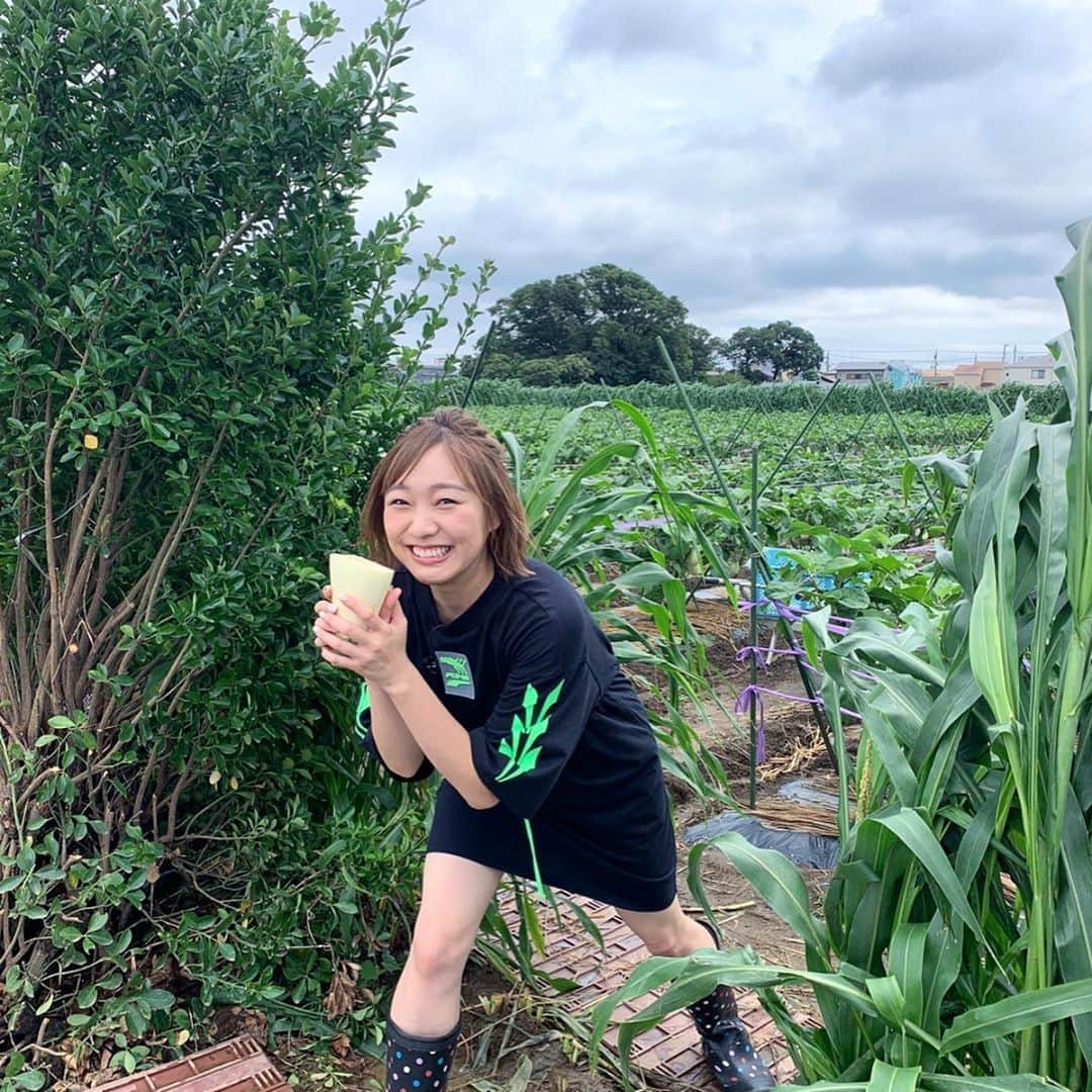 須田亜香里さんのインスタグラム写真 - (須田亜香里Instagram)「8月15日(土) 日本テレビ系　18:30〜 【満天⭐︎ #青空レストラン】 三度目の出演！嬉しすぎます☺️ 今回は茅ヶ崎でトルコナスの魅力にどっぷりと🍆 @aozora_official  ↑ 公式さんが今回も素敵な写真をアップしてくださっております☺️ （この日は15時から #doramaticbaseball 副音声もあるし日テレさんで須田祭り😋） #茅ヶ崎 #トルコナス #ボブアレンジ #レモンイエロー #ヘアゴム」8月14日 1時44分 - akarisuda