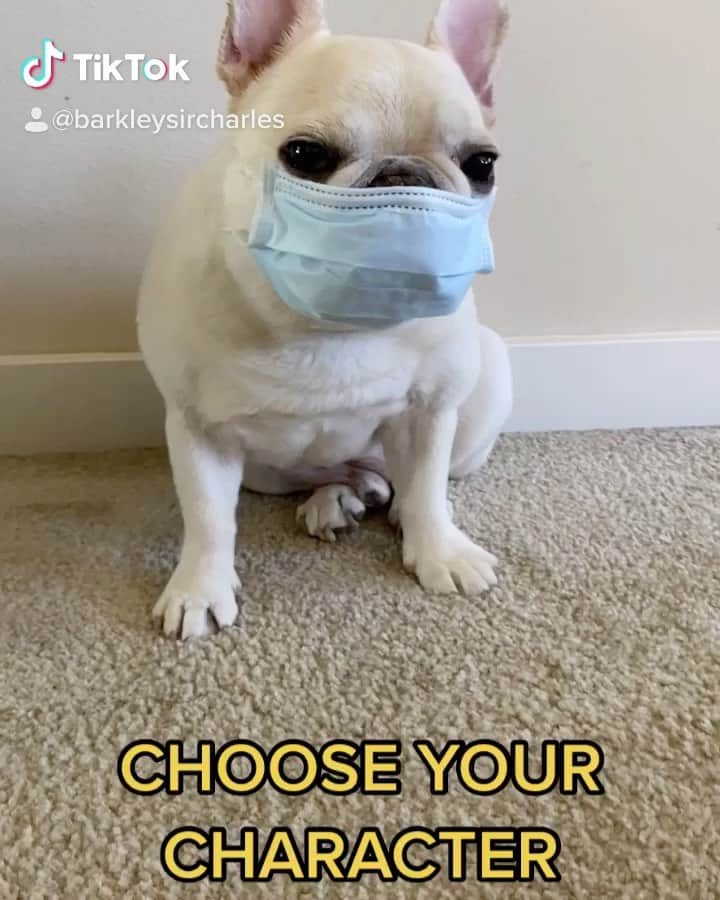 Sir Charles Barkleyのインスタグラム：「Choose your character...to open up Washington! #MaskUp! @wadepthealth Continue to social distance and wear a mask! Keep social interactions quick and safe! Do it for your peeps! ❤️」