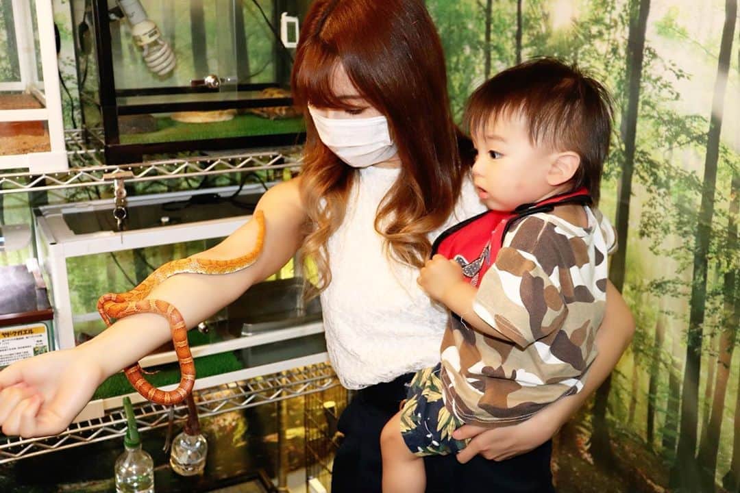 Momoeのインスタグラム：「. .  ヘビ可愛かった🐍❤️笑 こういうの触れる系母と びっくりしてる息子。笑 ヘビ幼稚園の頃触った事あるけど それぶり🙄 なんか極太のヤツ🐍が 幼稚園に来て それを5人くらいで ひざに乗せて触るっていう 企画（？）があって その時の写真残ってるから 触ったのも覚えてる🐍（思い出せた） 大人になってからは 初めて触ったな〜🥺❤️ 動物大好きだから 怖い無理！ってより なかなか触る機会ないし 触ってみよう🥺🥺❤️‼️✨派。 （時と場合とテンションによる） 血圧測る時みたいに 締め付けられて感動した🥺 （感動する所じゃない） 昔々、誰とは言わないけど ヘビ飼ってる人がいて ヘビの餌の冷凍ネズミ（白いやつ）を 「百恵！雪見だいふく食うか？」 って投げられたの 今でもすっげえ根に持ってる🥰 叫び散らかしたわ🥰 . . .  #happy #家事 #育児 #family #家族 #boy #smile #男の子 #息子 #code #love #lucky #kids #子供 #thankyou #宝物 #ベビー #fashion #follow #心 #縁 #パパ #ママ #家族写真 #男の子ママ #赤ちゃん写真 #photo #子育て #1歳 #flower」