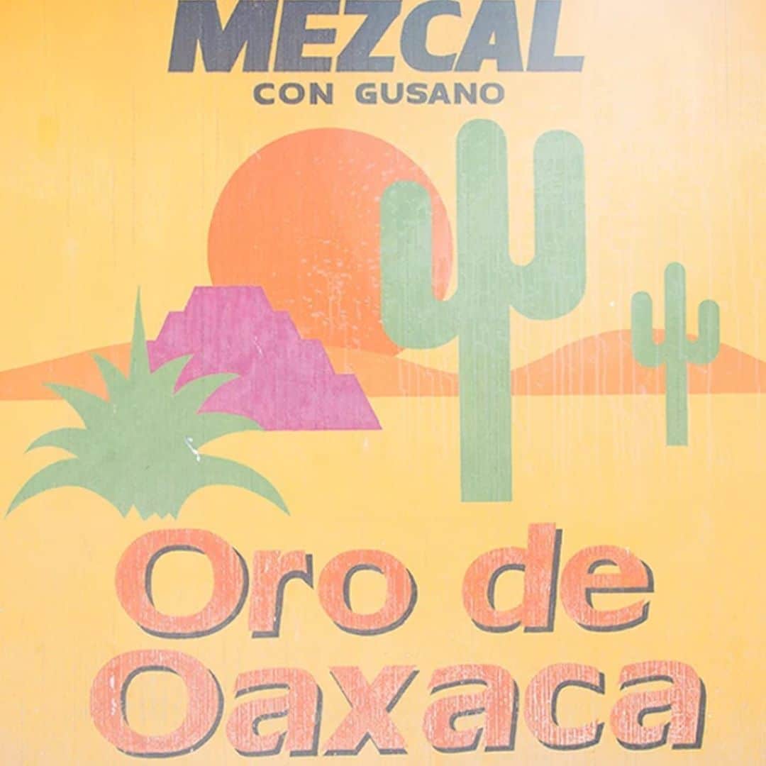 ジーエルシーオーのインスタグラム：「A virtual day trip to the land of free flowing mezcal.  Photos by: @abe_atri」