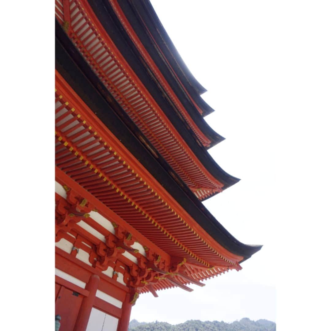 清水のぶよさんのインスタグラム写真 - (清水のぶよInstagram)「, とても暑かったので、 涼を求めてあの場所へ。 いろんな角度から 五重の塔を眺めながら向かいました。 , #旅 #旅行 #宮島 #千畳閣 #五重の塔 #五重塔 #家族 #観光 #gotoキャンペーン  #goto #go」8月14日 14時18分 - meika_shimizu