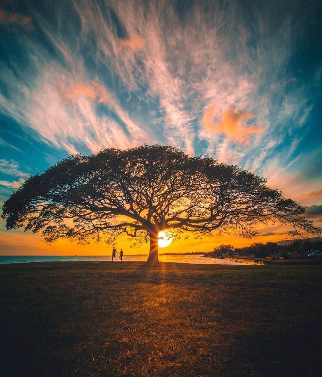 Canon Photographyさんのインスタグラム写真 - (Canon PhotographyInstagram)「Sunsets in Hawaii 😍 Photography  @crisp_artography  Curated by @ianharper」8月14日 6時20分 - cpcollectives