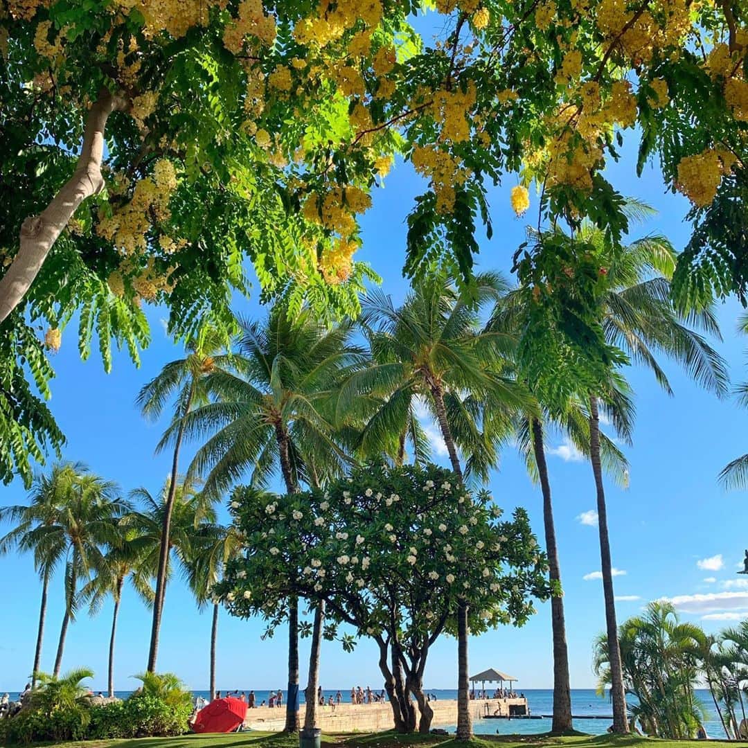 Belle Vie Hawaiiのインスタグラム