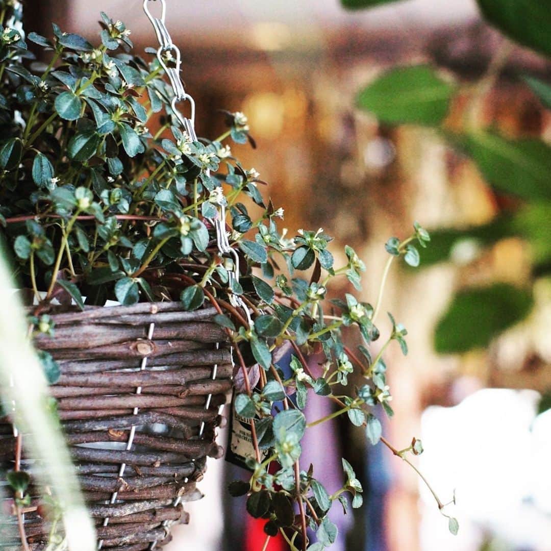 MILLE ECLAT.のグルメインスタ