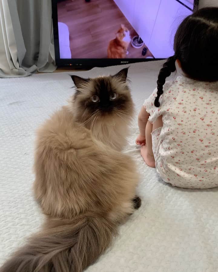 plumeのインスタグラム