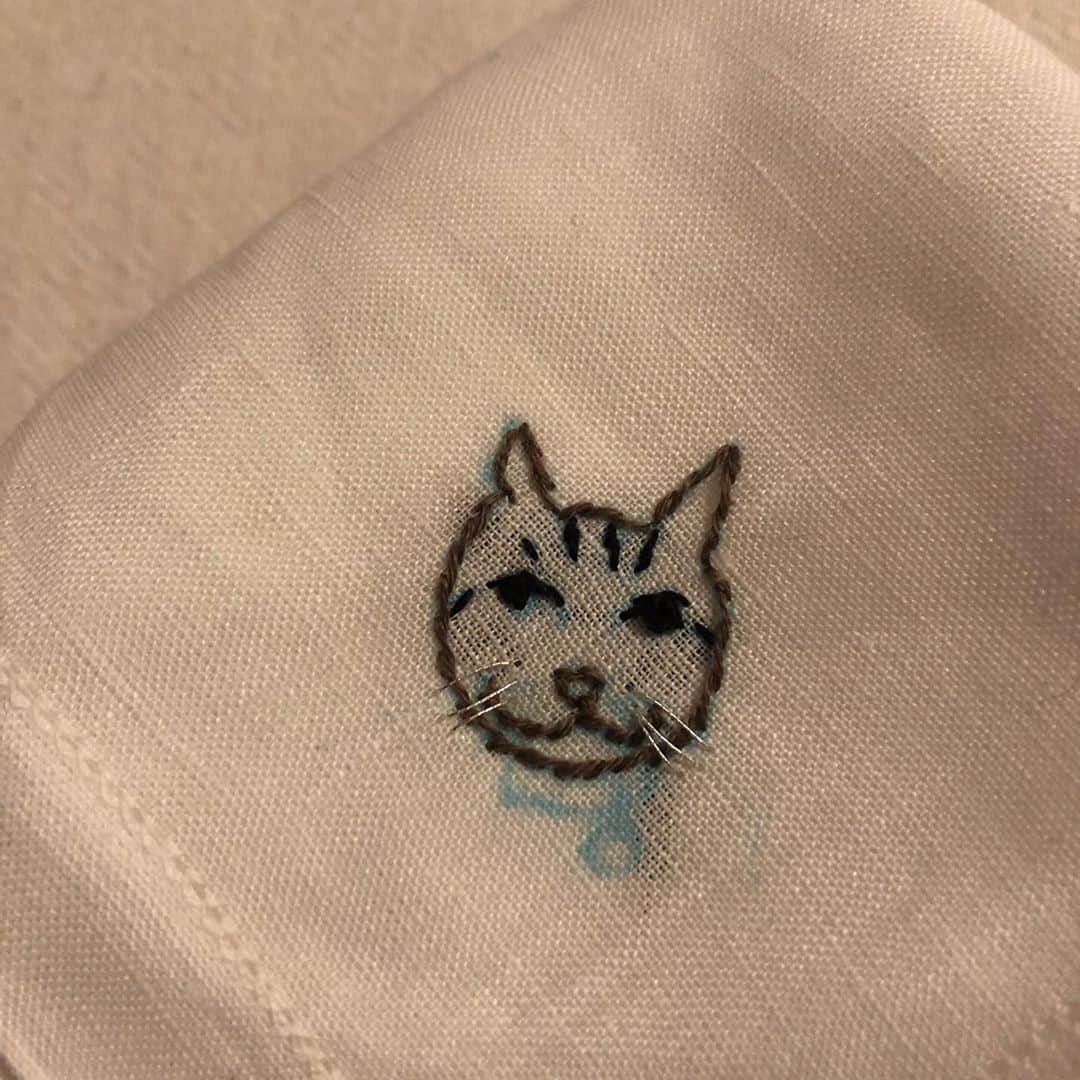 藤崎奈々子さんのインスタグラム写真 - (藤崎奈々子Instagram)「毎回楽しみにしている @lachaton_cat 主催の チャリティーイベント猫会が 開催されました。 今年はみんなでわいわいとはできないので😭 @hazukitoito はずき先生をお招きして刺繍教室を開いてくださいました❣️ ・ 約2時間みんなマスクをしながら黙々と刺繍に集中していました。 なんといっても、自分の愛猫を刺繍するんだから熱も愛もこもります🤣 私も針を指に刺したり、裏の糸が絡まったりしながらも先生のお見本を見ながらラムネの刺繍をしました🐈 ・ 私は生まれた時から色々な動作がノロいので完成には至らず… でも、刺繍枠はお買い取りできたので続きをのんびりやりつつ 今回できなかったキナコちゃんの刺繍にもトライしてみようと思っています。 ・ 後半はウカフェ @ucafe_official の美味しいご飯をいただきながら、スライドで自分の愛猫自慢大会♡ 私はこの時間が大好き！ みんなの猫愛が溢れ出る時間です😻 ・ こんなに楽しいイベントに参加しつつチャリティーなので参加費の一部は保護猫活動をしている @loveandco_coffee ラブコさんに寄付されます。 幸せでいい事だらけなイベントに今回も参加できて嬉しかったー🍀 ・ #lachaton#ラシャトン#uka#ucafe#チャリティーイベント#保護猫#猫会#刺繍教室#見事なソーシャルディスタンス#本当に針が指に刺さるとは…」8月14日 7時29分 - nanakofujisaki