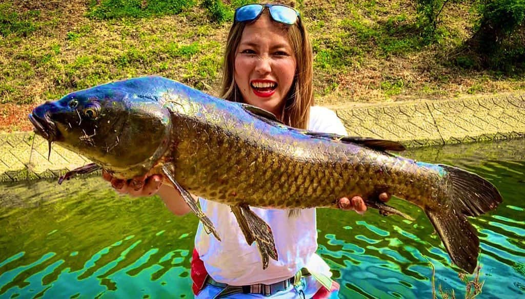 冨士木耶奈さんのインスタグラム写真 - (冨士木耶奈Instagram)「‪. パン鯉っ♬パン鯉っ♬‬ . #fishing #japan #fishinglife  #fishinggirl #carp #carpfishing  #hunter #kanafujiki #耶奈 #冨士木耶奈  ‪#野生児 #ハンター #釣りバカ #川釣り  #魚ハンター #怪魚ハンター #鯉 #鯉釣り  #パン鯉 #釣り #釣りガール ‬#百獣の王」8月14日 8時20分 - fishing_kana