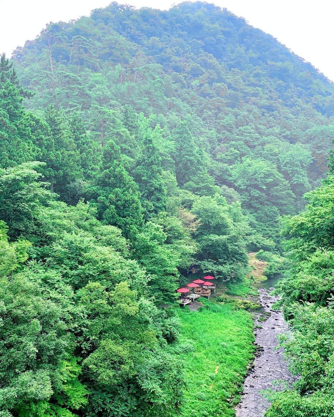 村上萌のグルメインスタ