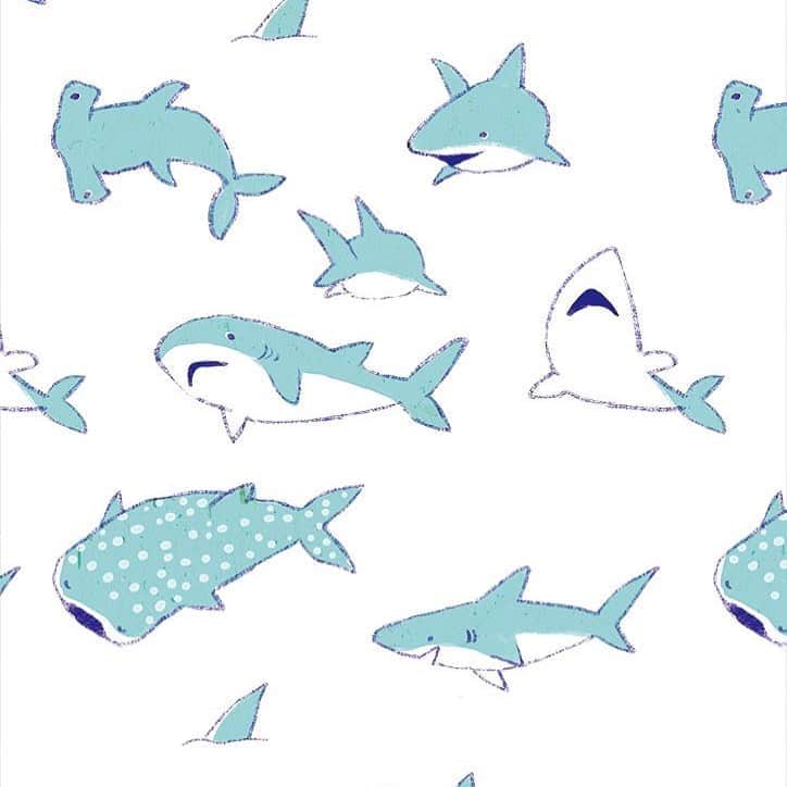 momoroさんのインスタグラム写真 - (momoroInstagram)「すーいすーい  #サメ#shark #illustration #momoro#イラスト#ももろ」8月14日 8時40分 - momoro6666