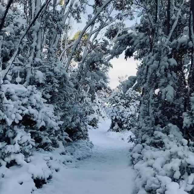 Australiaのインスタグラム