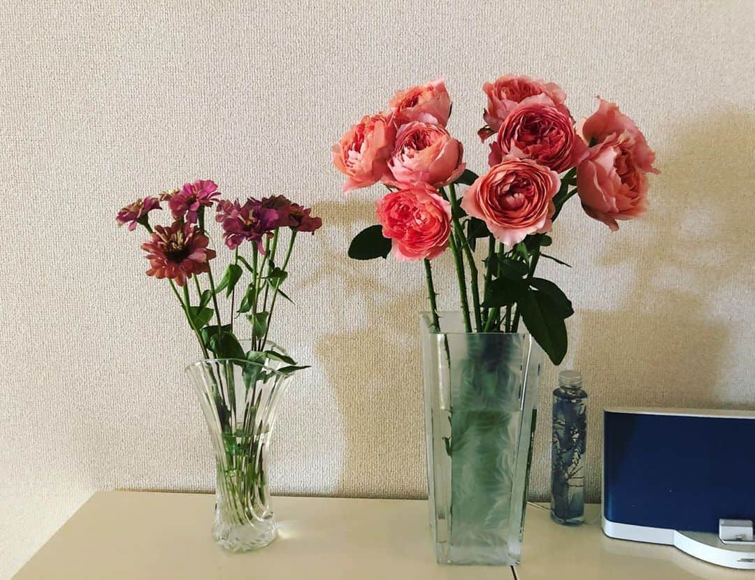 福田ゆみさんのインスタグラム写真 - (福田ゆみInstagram)「今日もお暑いこと。 花があるだけで部屋が涼し気。 アンティークぽい色合いの花 と オレンジの薔薇 可愛い。 #花  #はなのある暮らし  #薔薇  #福田ユミ」8月14日 9時21分 - yumifukuda0511
