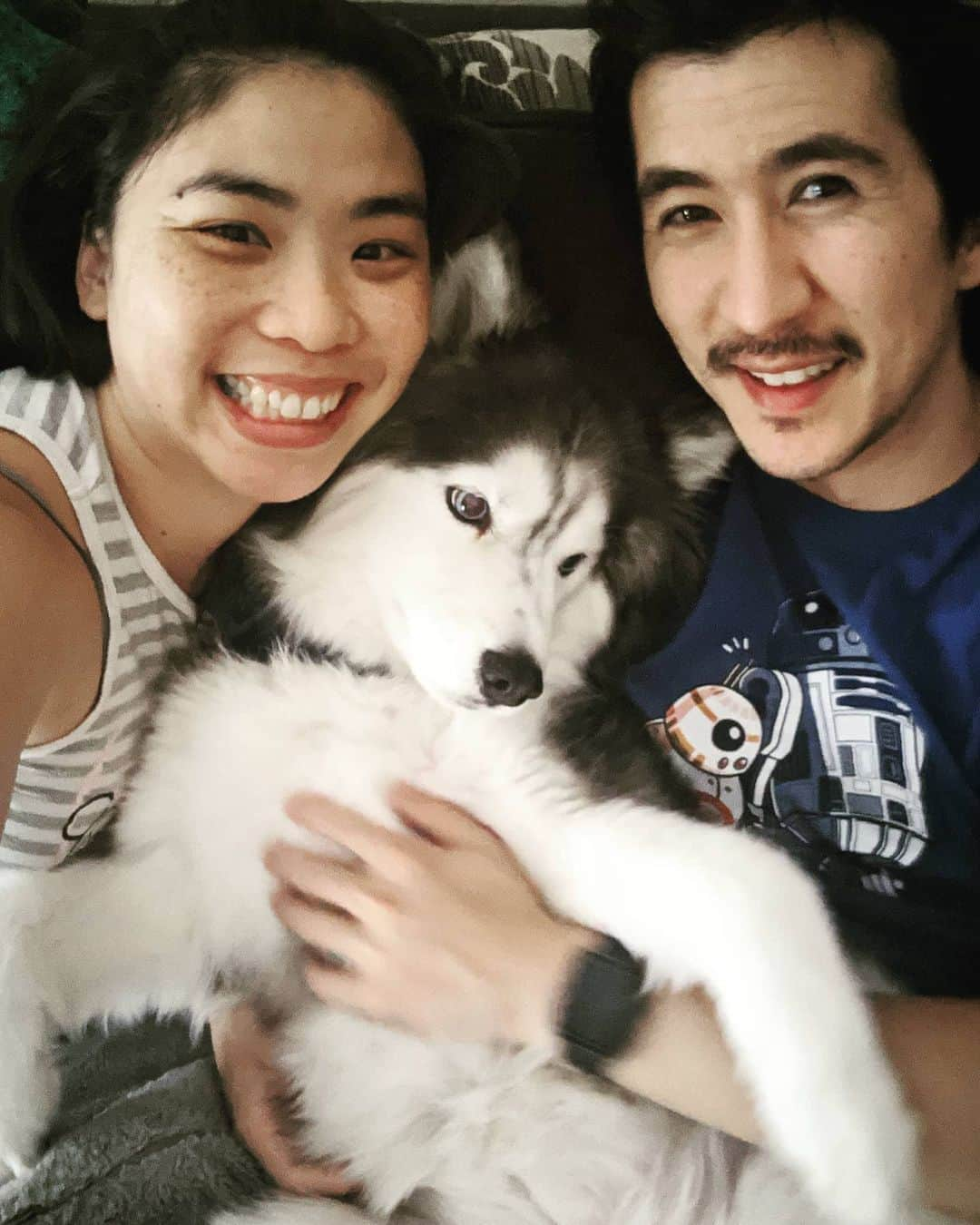 ベアトリサ・リャンのインスタグラム：「❤️ Family photo ❤️ Plus @dongalvani's mustache   #kaiyapuppy #dogsofinstagram #doge #husky #huskiesofinstagram #puppylove #family」