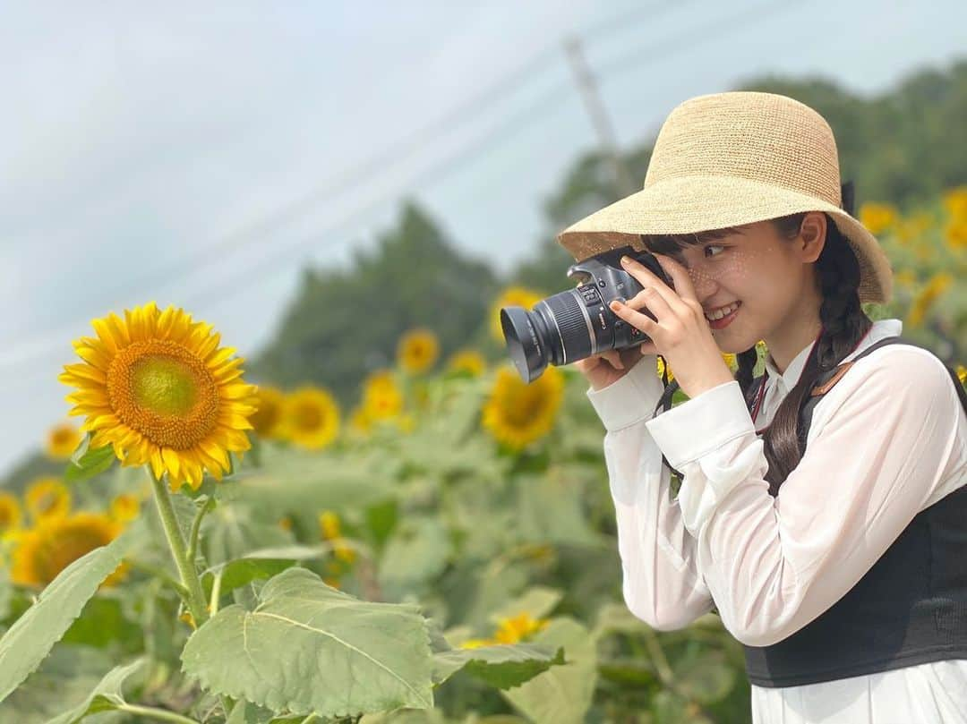 桜井美里さんのインスタグラム写真 - (桜井美里Instagram)「・  ﻿ たくさんのひまわりに囲まれて幸せ☺️﻿ ﻿ ﻿ #🌻」8月14日 10時32分 - mippi__0418